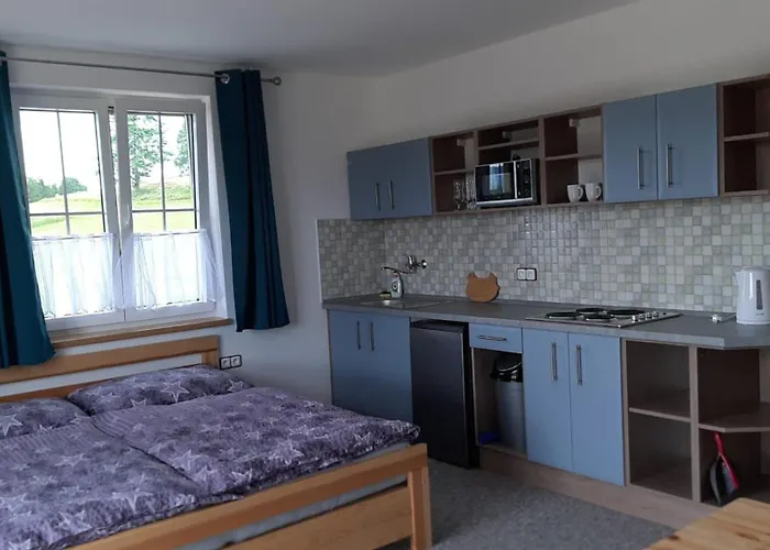 U Srdce Vltavy 公寓 Horní Planá